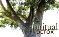 Detoxification must be a spritual experience