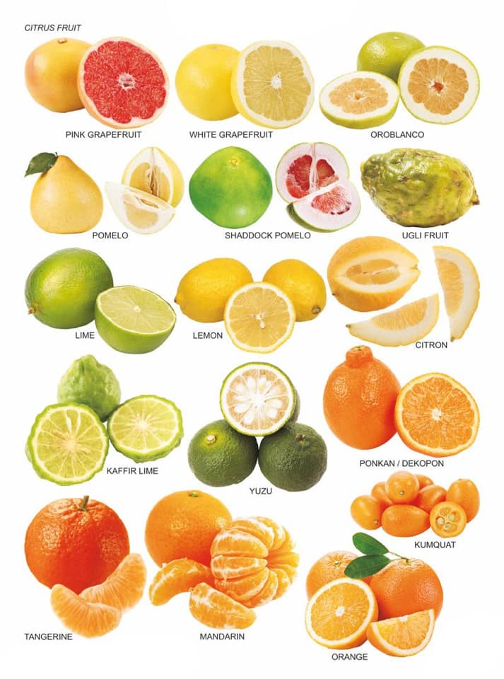 Citrus fruit and mangoes for health and detoxification