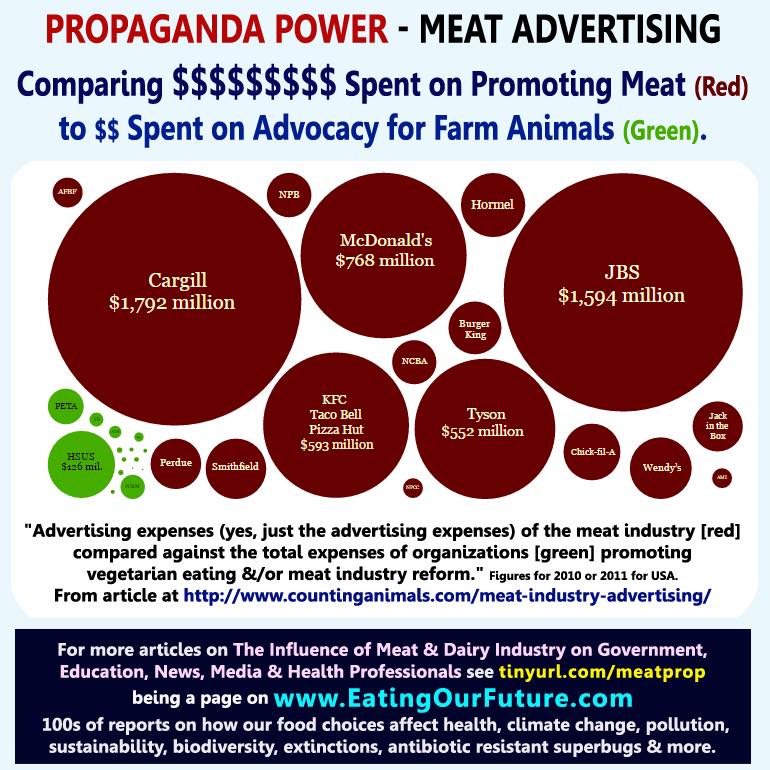 Meat and dairy industry indoctrination must stop