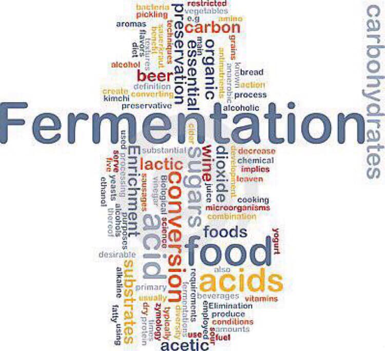 Why are you fermenting your food?