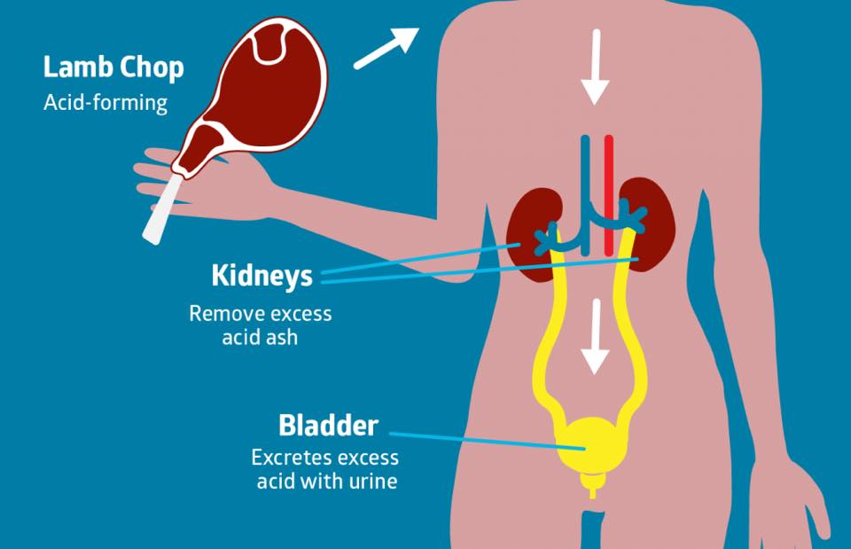 You don’t want to eat acidic proteins with a parathyroid weakness