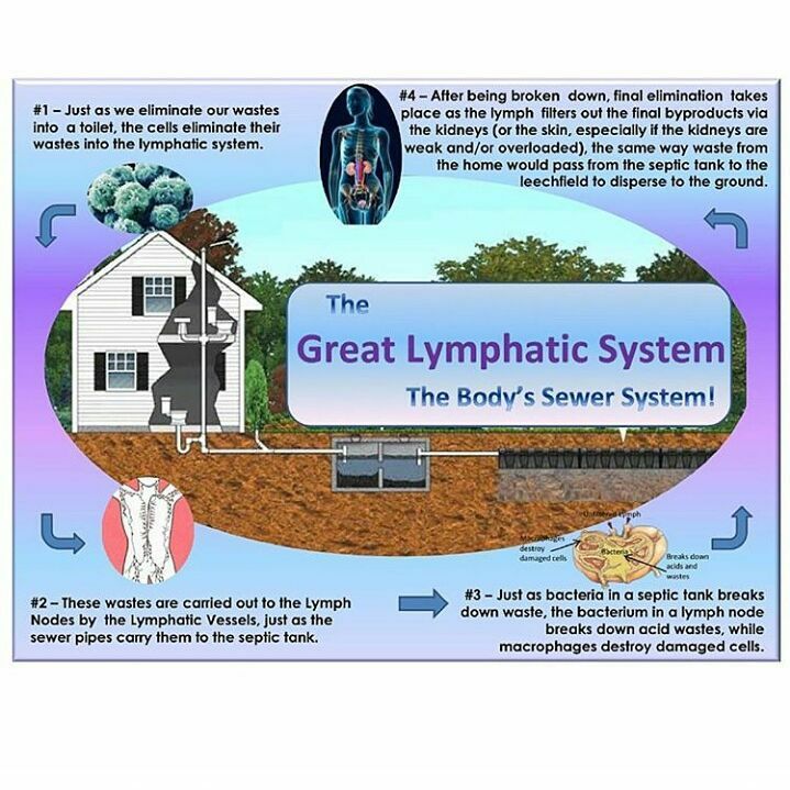 Lupus is systemic acidosis (stagnant sewage in the body)