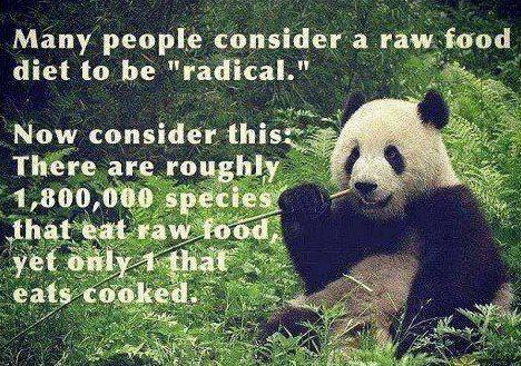 All animals eat their food raw except for humans?