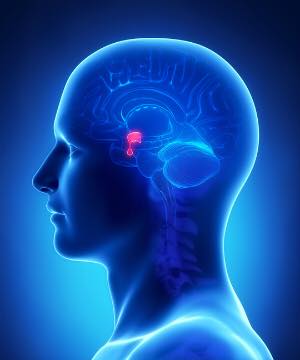 Symptomology of a damaged pituitary gland