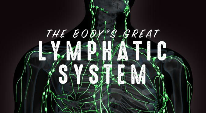 You must understand the lymphatic system, because treatment based modalities do not work