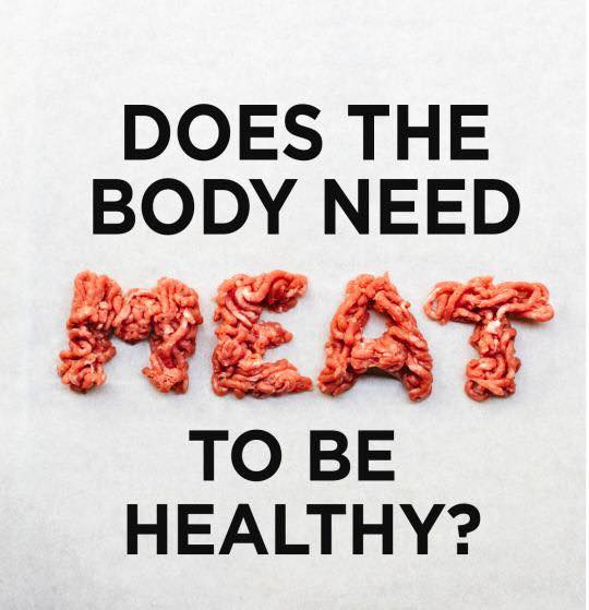 Why you feel weak when you stop eating animal foods?