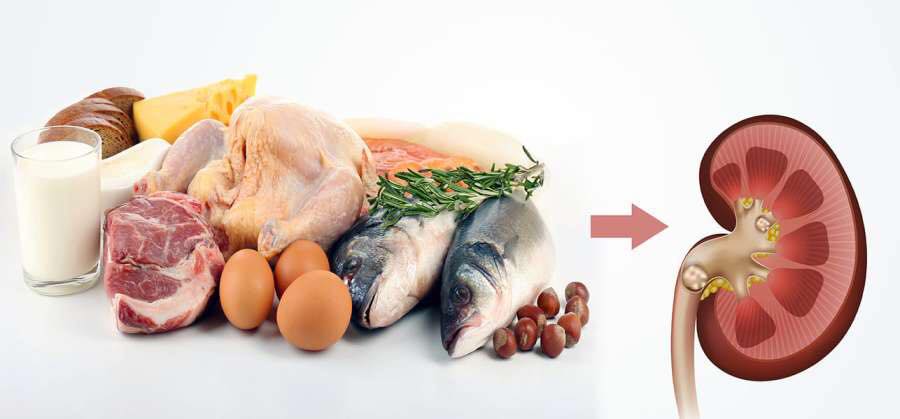 Proteins detrimental effects on the kidneys