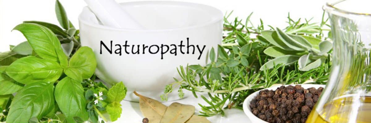 If you are a naturopath doctor but push supplements and high protein diets you know nothing about naturopathy