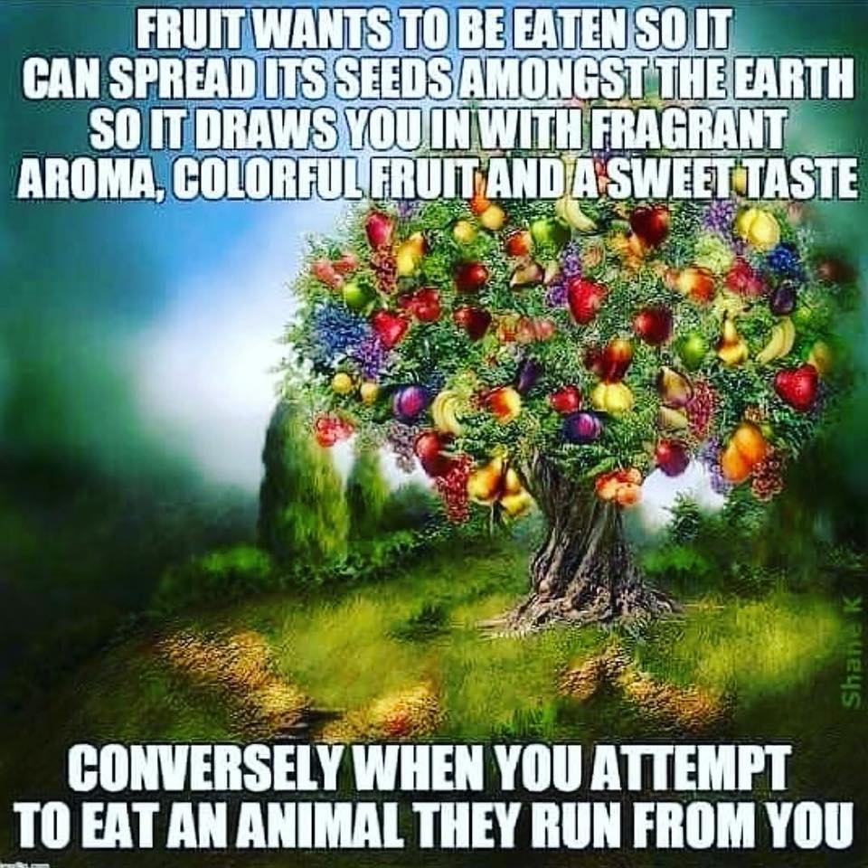100% raw, 100% fruit, and cooked food is “unnatural” (All diets are unnatural in today’s world)
