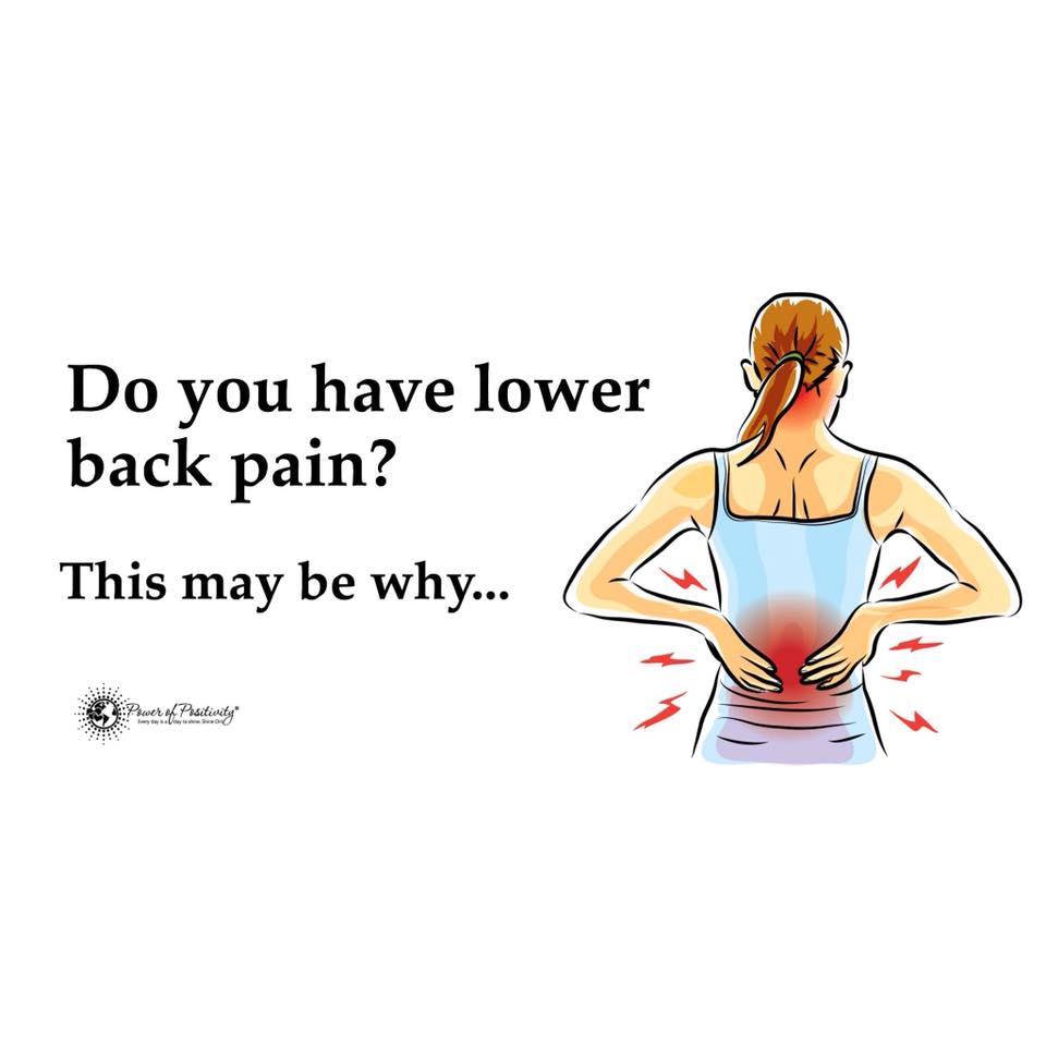 Chiropractic work won’t fix your lower back pain, you need to remove the proteins from your diet