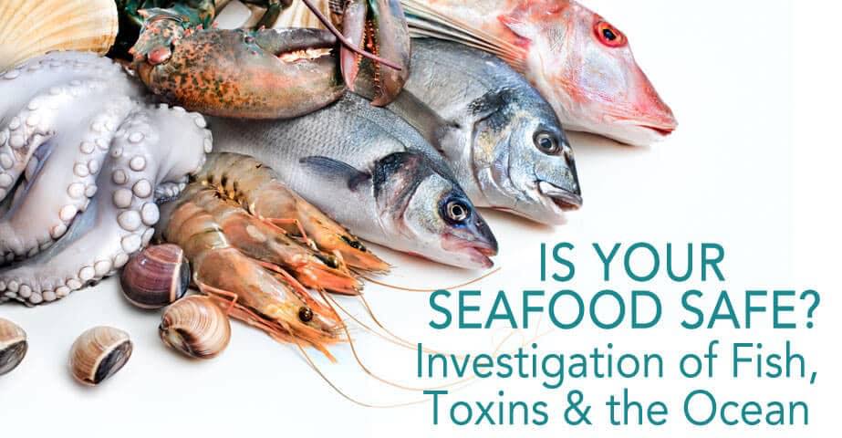 Seafood is a chemical toxin to the body
