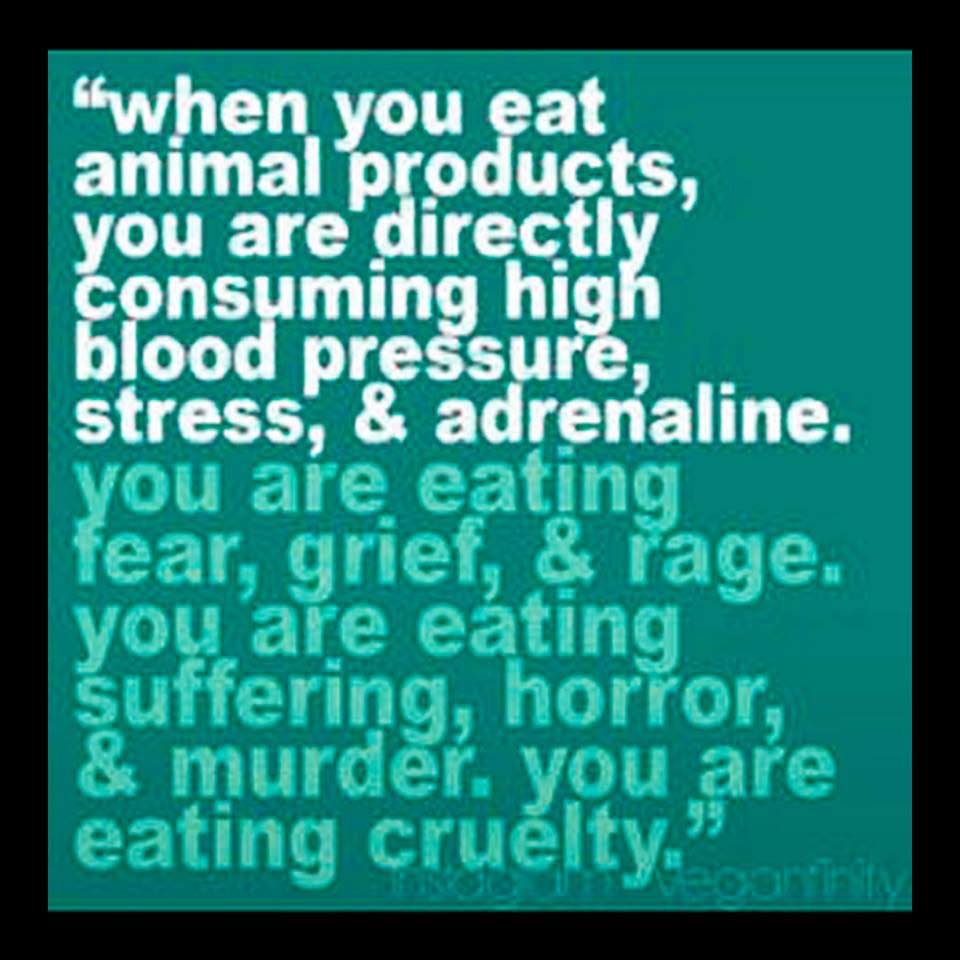 Meat damages the adrenal glands, leading to chronic fatigue