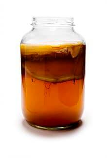 Kombucha is acidic and fuel for fungus