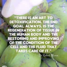 The reality of regenerative detoxification