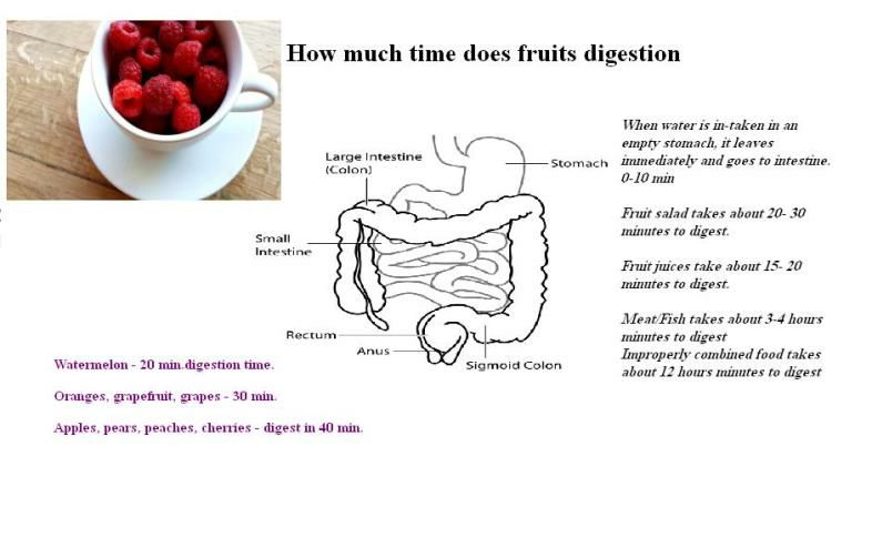 Fruit digestion vs veggie digestion on a raw food diet