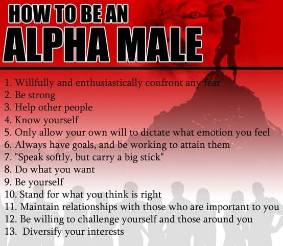 Tap into the masculine and feminine alpha that you are