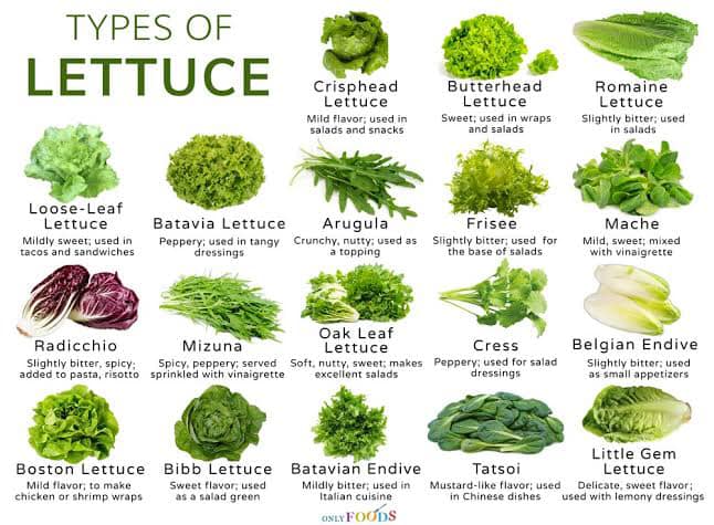 Vegetables regarding health and wellness