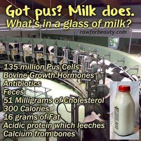 Pasteurized dairy products the worst food for humans
