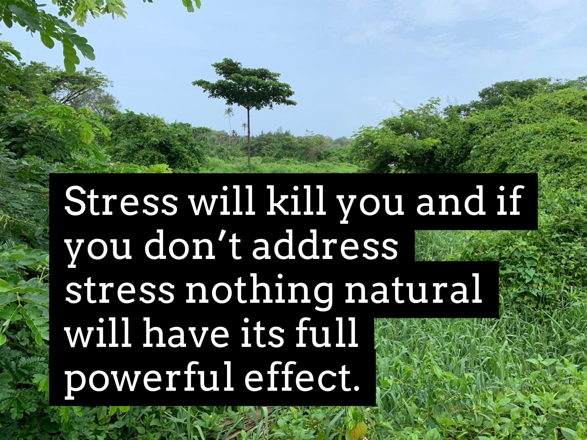 The purest detox diet can be ineffective if you’re stressed about it