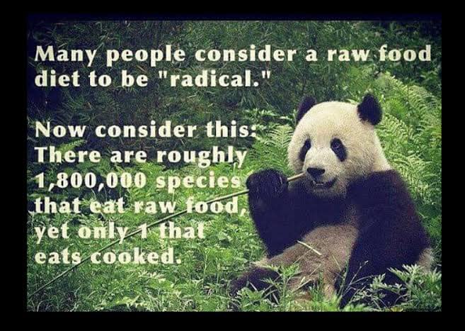 Raw living foods the source of nourishment for all living creatures