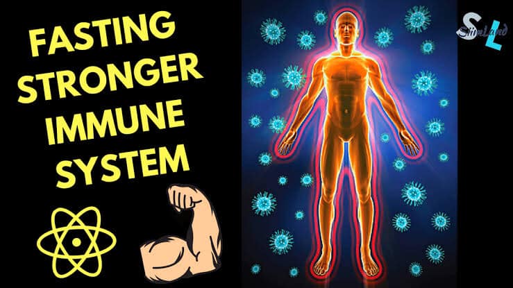 Strengthen your immune system by fasting for 24 hours every week