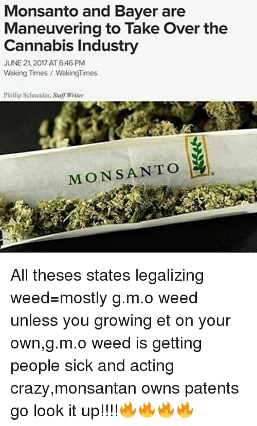 Don’t smoke the systems GMO weed